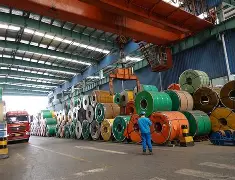 开云体育-今晚辽宁本钢调整名单以备荷甲，队长鼓劲环节打磨，媒体盛赞，临场指挥获称赞的简单介绍